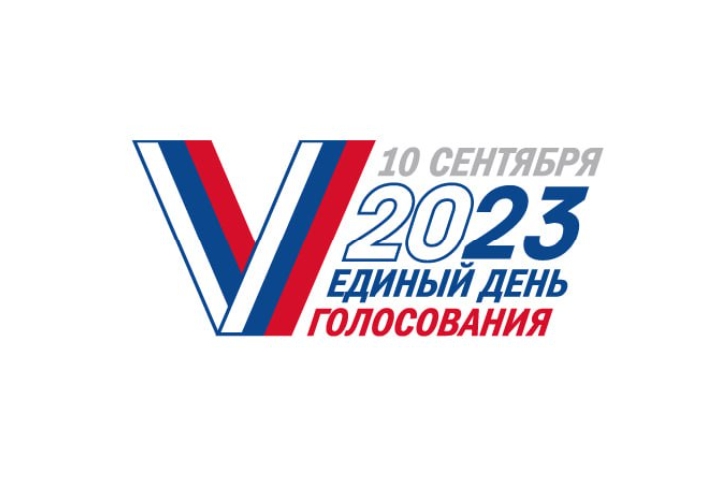 Выборы Вольск