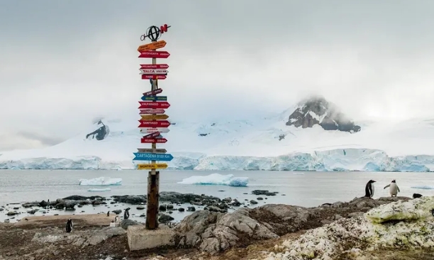 Фотоальбом из путешествия: как мы ходили в Антарктиду