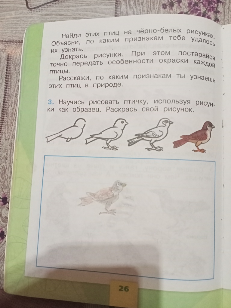 Плешаков, страница 26